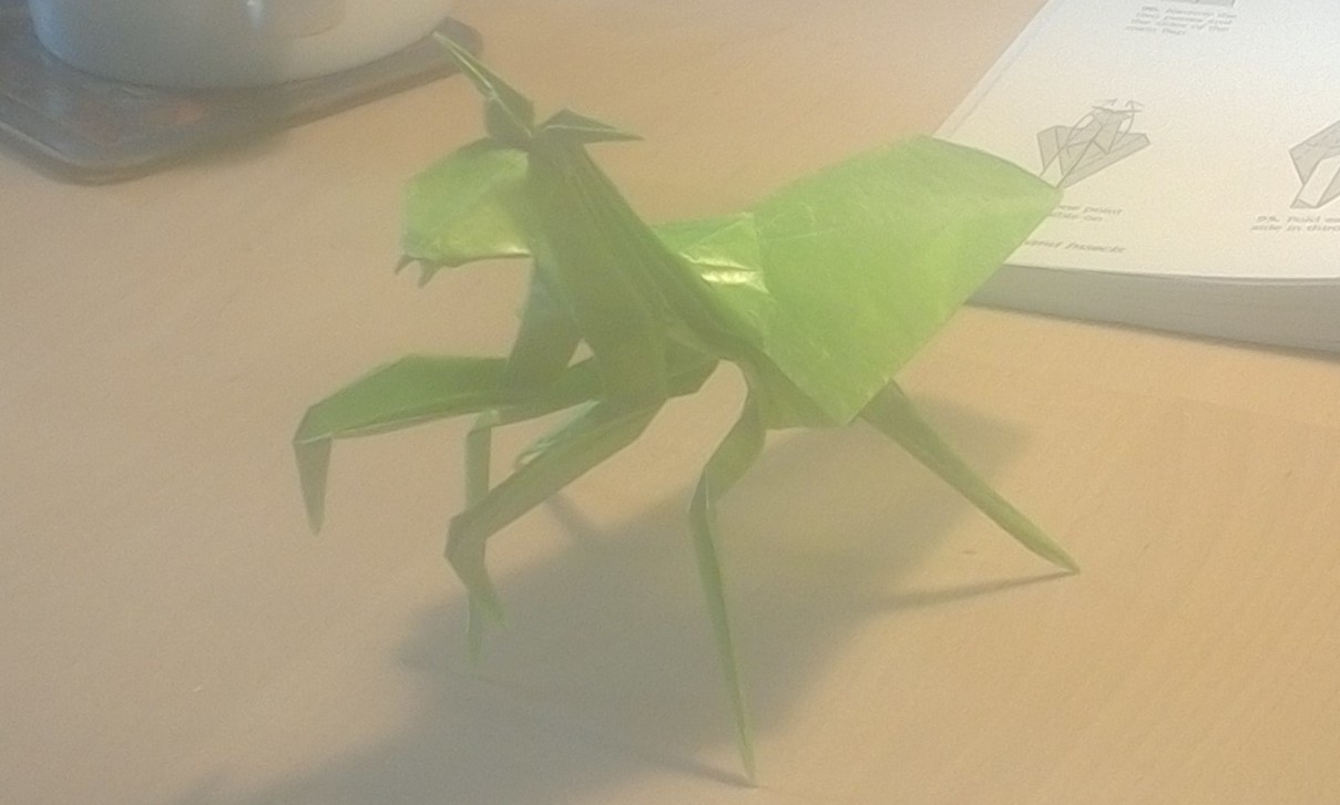 Praying Mantis